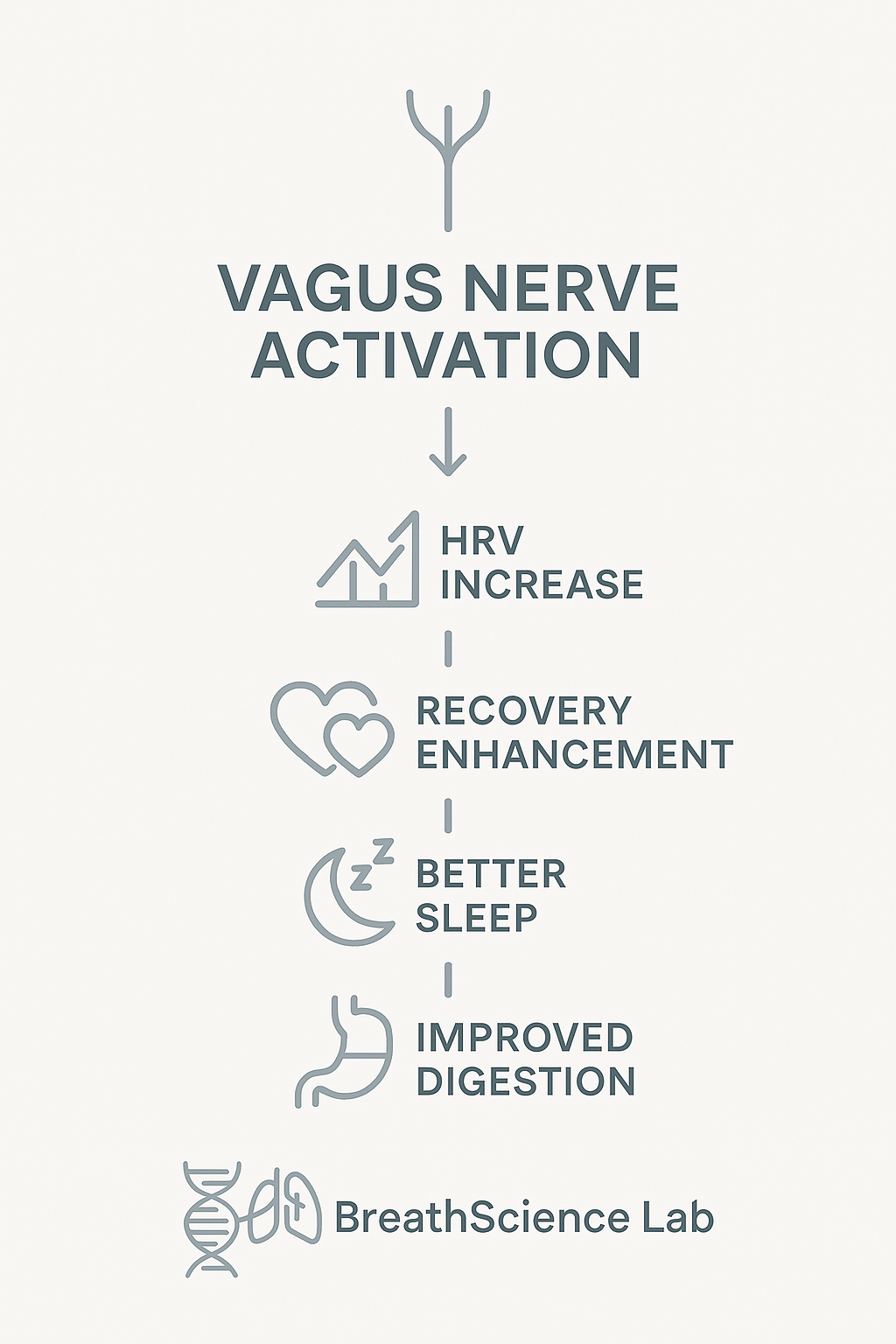 Infographic showing benefits of parasympathetic activation like reduced inflammation and improved recovery