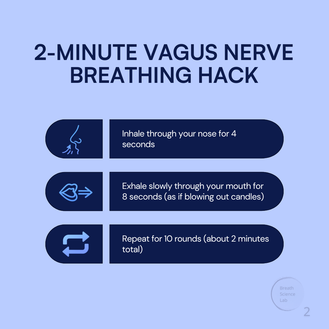The Vagus Nerve: Your Body’s Built-In Recovery Switch (Explained with Science + Simplicity)