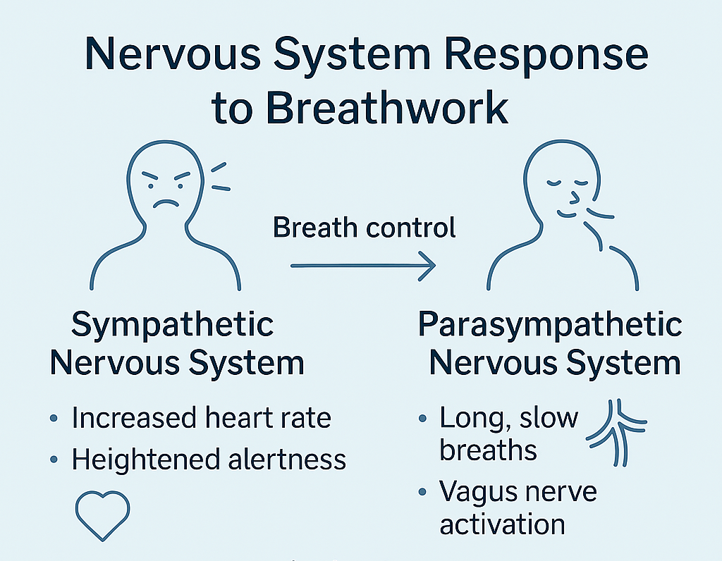 Breathwork for Sleep: Science-Backed Strategies to Calm Your Nervous System and Fall Asleep Faster