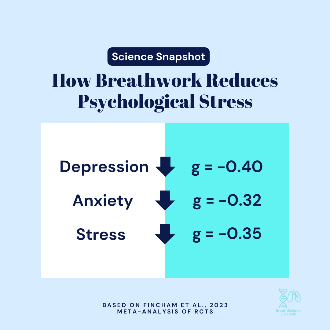Visual summary of breathwork’s effects on depression (g = –0.40), anxiety (g = –0.32), and stress (g = –0.35) from 2023 meta-analysis.