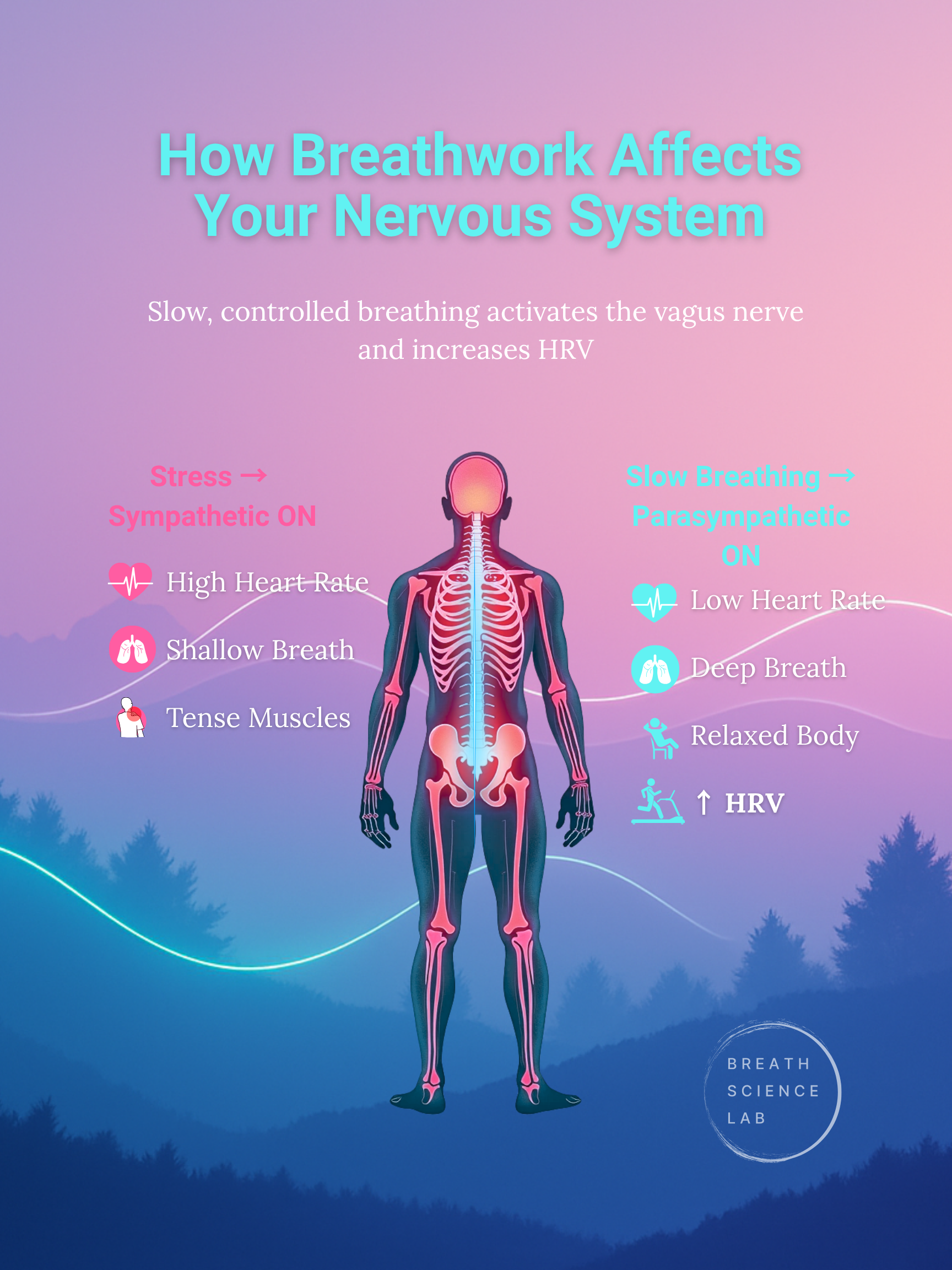 Breathe Better, Feel Better: My Real-Life Guide to Breathwork for Stress, Mood, and Recovery