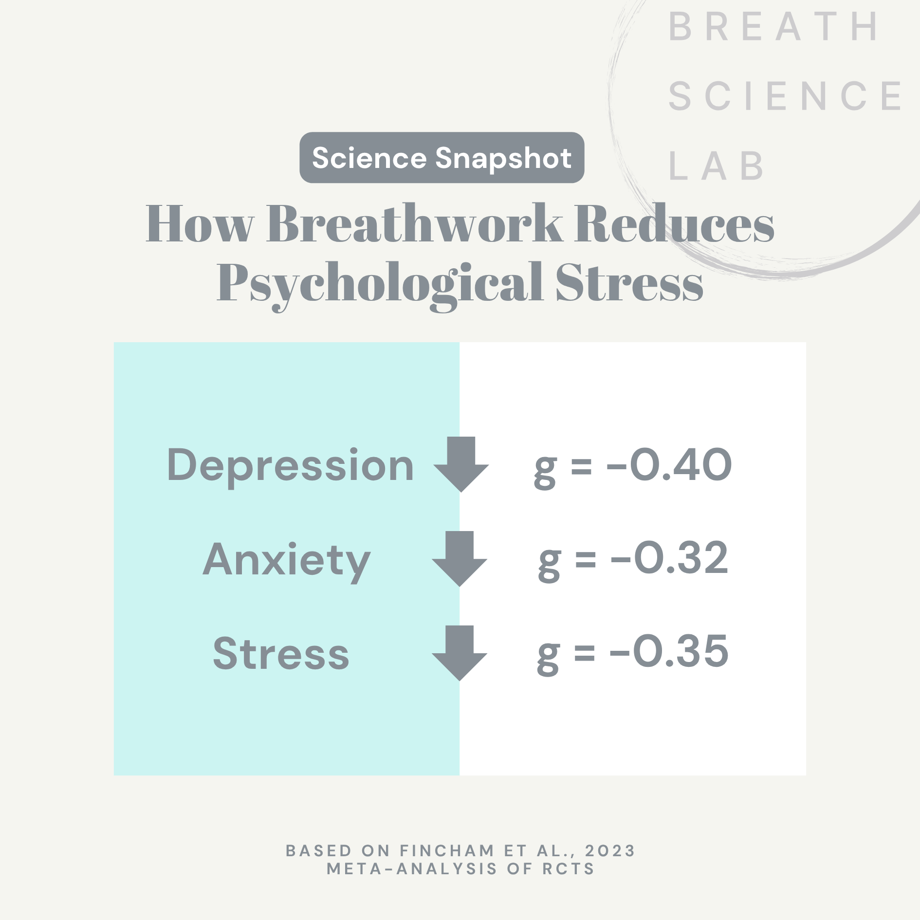 Feeling Wired but Tired? Breathwork Might Be the Reset Your Nervous System Needs